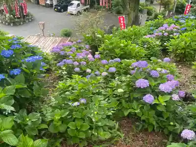 三ヶ根観音（太山寺）(愛知県)