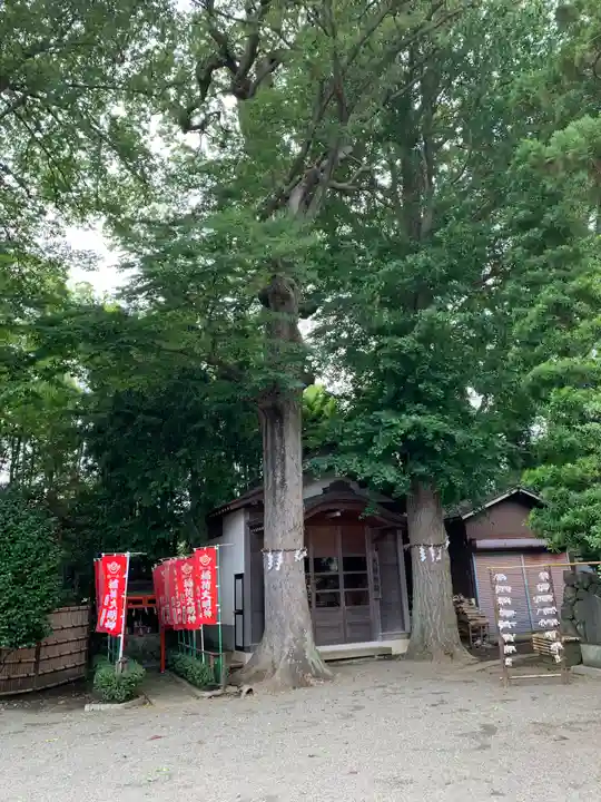 相模国総社六所神社の自然
