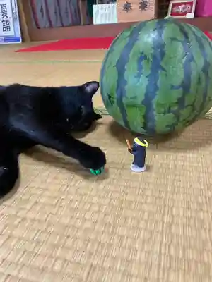 高司神社〜むすびの神の鎮まる社〜(福島県)