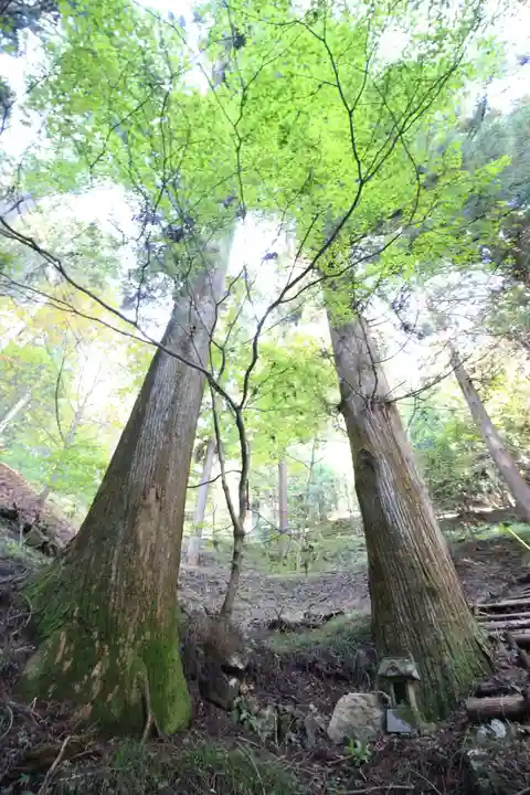 高水山 常福院 龍学寺 (東京都)