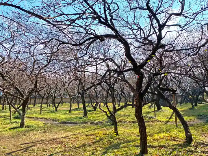 谷保天満宮の自然