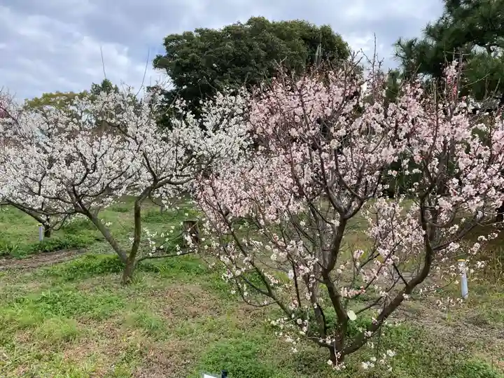 曽根天満宮(兵庫県)