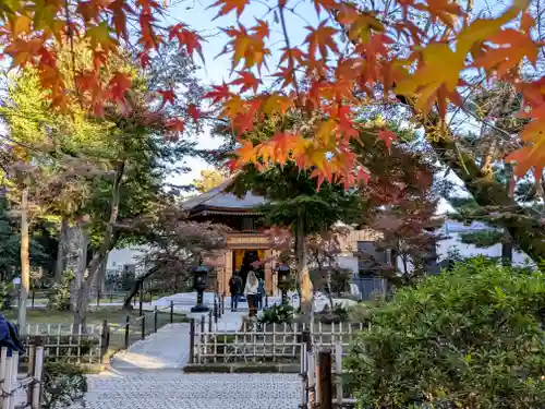 豪徳寺(東京都)