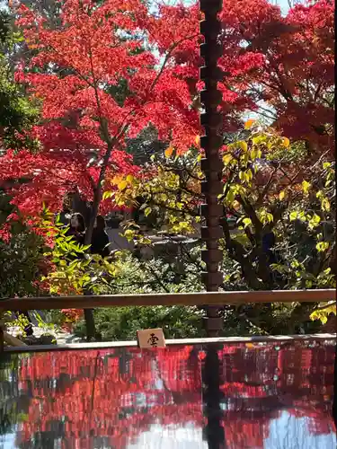 霊源院(京都府)