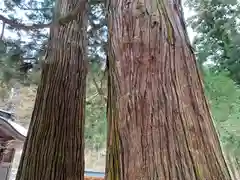 藤沼神社(福島県)