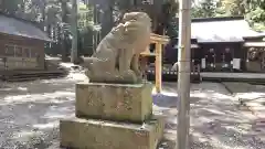 大田原神社の狛犬