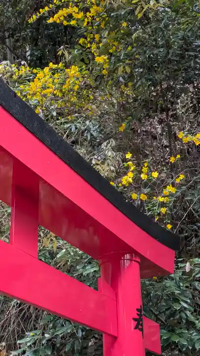 椎尾神社の鳥居