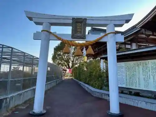 岩国白蛇神社(山口県)