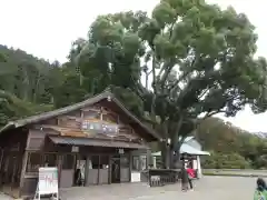 勝尾寺の建物その他