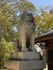 大山祇神社の狛犬