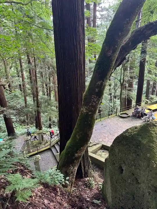 宝珠山 立石寺(山形県)