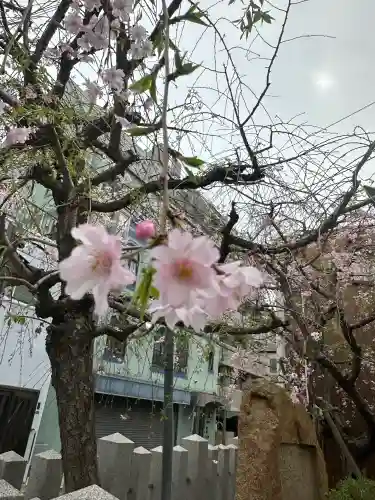 二宮神社の{uncategorized: "未分類", other: "その他", undefined: "問題あり", building: "その他建物", grave: "お墓", sacred_gate: "鳥居", guardian: "狛犬", statue: "像", buddha: "仏像", history: "歴史", nature: "自然", garden: "庭園", animal: "動物", pagoda: "塔", temizu: "手水舎", mountain_gate: "山門・神門", sanctuary: "本殿・本堂", subordinate: "末社・摂社", art: "芸術", scenery: "景色", jizo: "地蔵", ema: "絵馬", goshuin: "御朱印", omikuji: "おみくじ", items: "授与品その他", amulet: "お守り", goshuincho: "御朱印帳", eats: "食事", festival: "お祭り", votive_dance: "神楽", shichigosan: "七五三参", wedding: "結婚式", experience: "体験その他", initially: "初詣", around: "周辺", anti_infection: "感染症対策"}