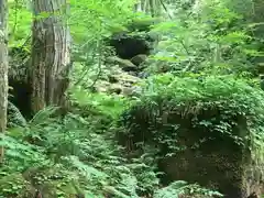 戸隠神社奥社の周辺