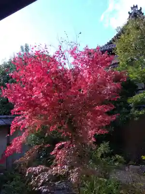 尊陽院(京都府)