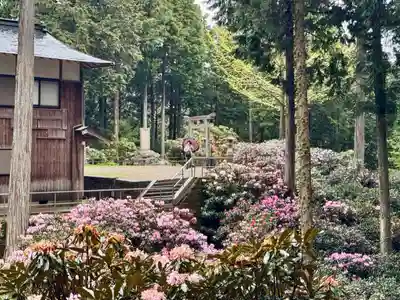 金刀比羅神社(奈良県)