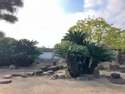 安国寺(広島県)