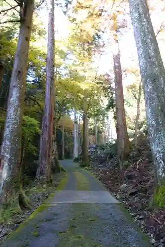 古知谷阿弥陀寺の周辺