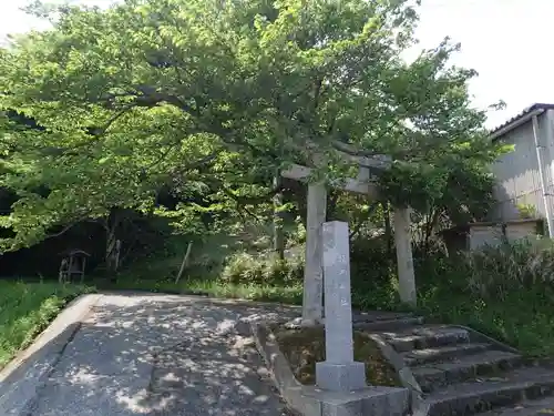 板井神社の建物その他