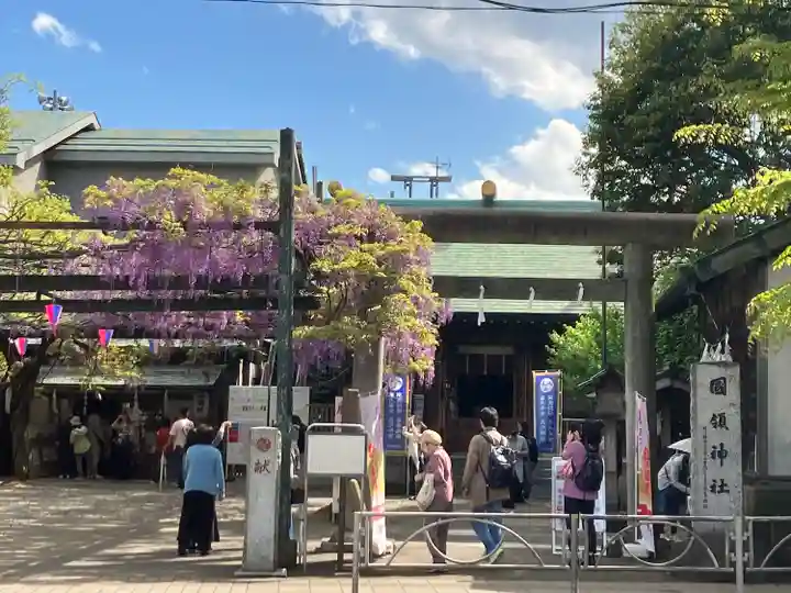 國領神社の鳥居