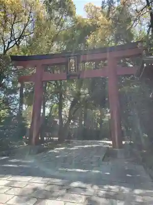 根津神社の鳥居
