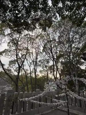 高岳神社(兵庫県)