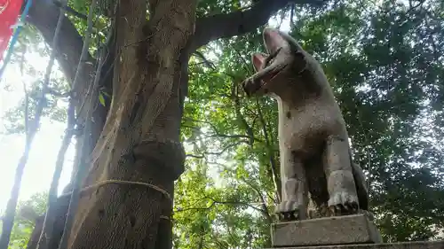 城山神社の狛犬