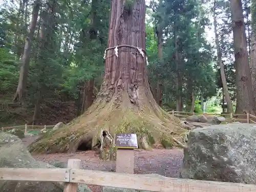 河口浅間神社の庭園