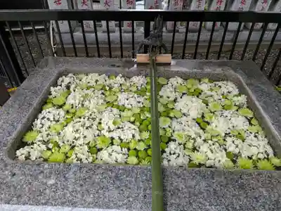 高円寺氷川神社(東京都)