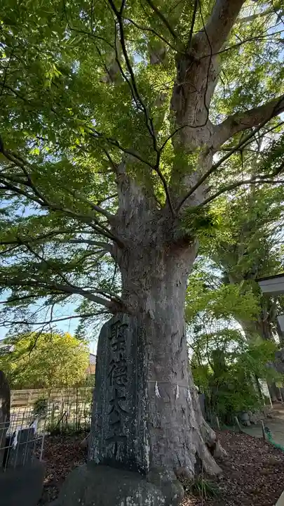 鹿島御子神社(福島県)