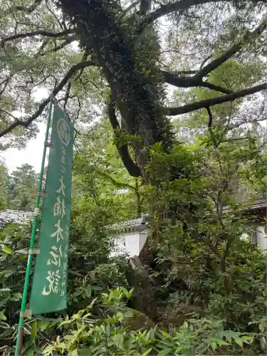 賀茂神社(愛知県)