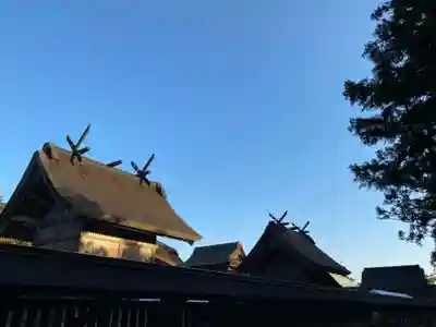 出雲大社の本殿・本堂