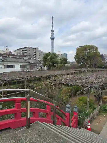 亀戸天神社(東京都)