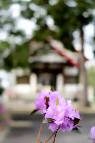 江部乙神社(北海道)