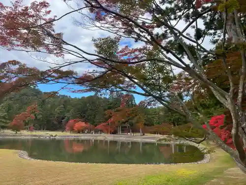 毛越寺の庭園