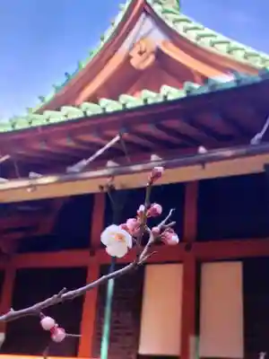 赤坂氷川神社(東京都)