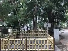 世田谷八幡宮の建物その他