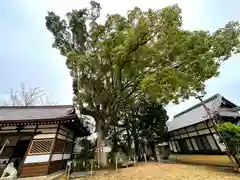 和貴宮神社(京都府)