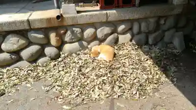 雀神社(茨城県)