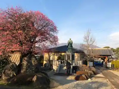 法源寺のその他建物