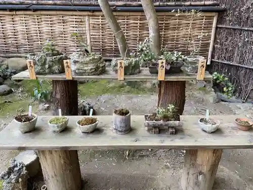 祇王寺(京都府)