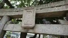 天津神社の動物