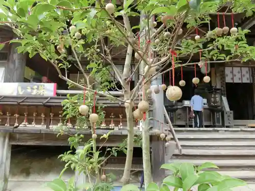 岡寺（龍蓋寺）のその他建物