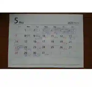 三輪神社(愛知県)(2023年04月29日(土) 09時30分09秒投稿)