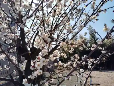 長良神社(群馬県)