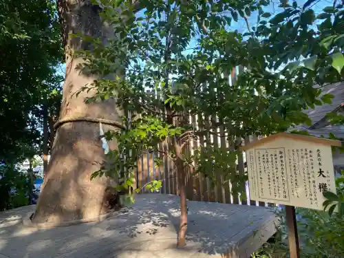 鎮守氷川神社(埼玉県)