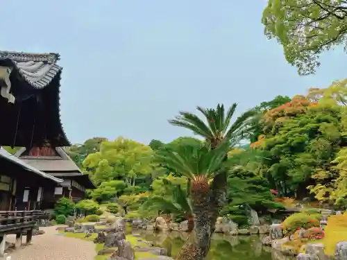 醍醐寺(京都府)