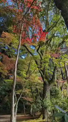 賀茂別雷神社（上賀茂神社）(京都府)
