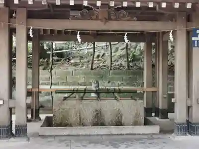 江島神社の手水舎