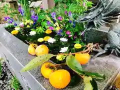 東海市熊野神社の手水