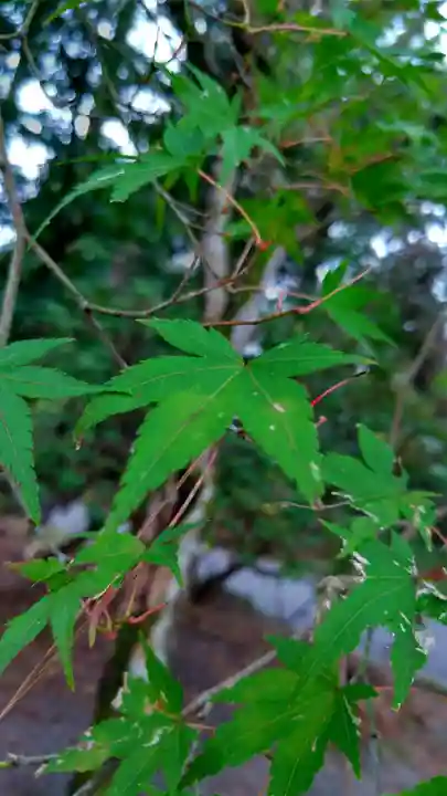 大正天皇多摩陵(東京都)